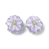 Handmade Lampwork Enamel Beads LAMP-Z020-05A-1