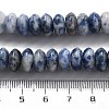 Natural Blue Spot Jasper Beads Strands G-P559-A15-02-5