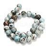Natural Larimar Beads Strands G-L642-B19-12mm-3