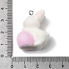 Easter Opaque Resin Pendants RESI-F062-03D-3