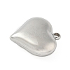 304 Stainless Steel Pendants STAS-S186-06A-P-2