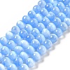 Natural Selenite Beads Strands G-P493-01E-1