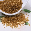 MIYUKI Delica Beads SEED-X0054-DB0065-1