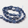 Oval Natural Kyanite/Cyanite/Disthene Bead Strands G-O139-01B-2