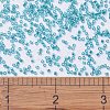 MIYUKI Delica Beads SEED-MY11-DB1248-4