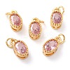 Real 18K Gold Plated Brass Inlaid Cubic Zirconia Charms ZIRC-L100-079G-07-1