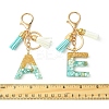 Transparent Epoxy Resin Pendant Keychains KEYC-FS00022-02-3