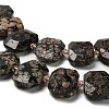 Natural Snowflake Obsidian Beads Strands G-H078-B22-01-4