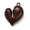 Acrylic Pendants OACR-S043-02A-02-1