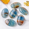 Natural Gemstone Palm Stones PW-WGFE884-01-1