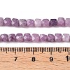 Natural Lepidolite/Purple Mica Stone Beads Strands G-N342-139-5