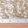 MIYUKI Delica Beads X-SEED-J020-DB0907-4