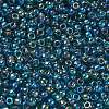 TOHO 6/0 Round Beads X-SEED-TR06-0167BD-3