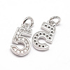 Real Platinum Plated Tone Brass Micro Pave Cubic Zirconia Number Charms ZIRC-E011-05-1