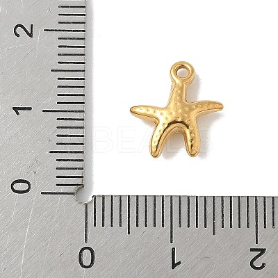 304 Stainless Steel Charms STAS-F320-01A-G-1