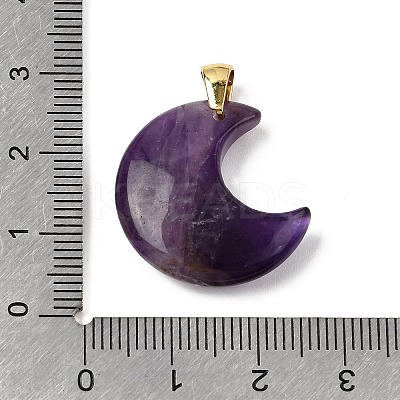 Natural Amethyst Pendants G-A297-02G-10-1