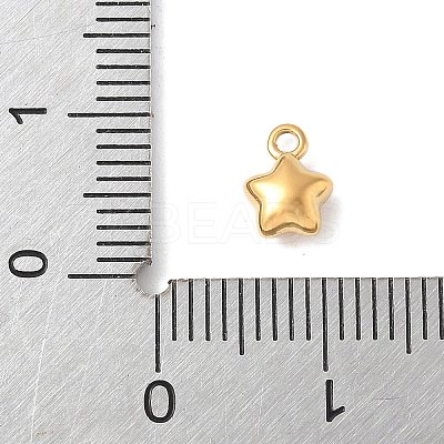 304 Stainless Steel Charms STAS-Q351-01G-A-1