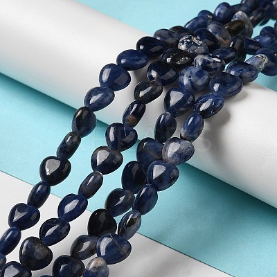 Natural Sodalite Beads Strands G-B022-18B-1