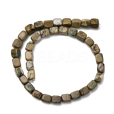 Natural Verdite Stone Beads Strands G-B155-D08-1
