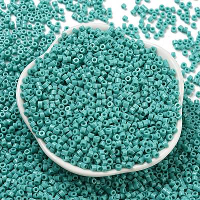 Opaque Colours Glass Seed Beads SEED-S042-09A-04-1