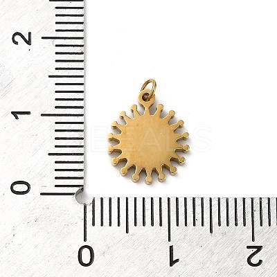 304 Stainless Steel Charms STAS-K263-06G-01-1