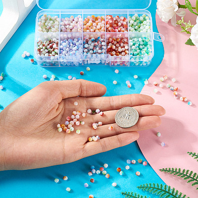 100G 10 Colors Baking Paint Glass Seed Beads SEED-TA0001-48-1