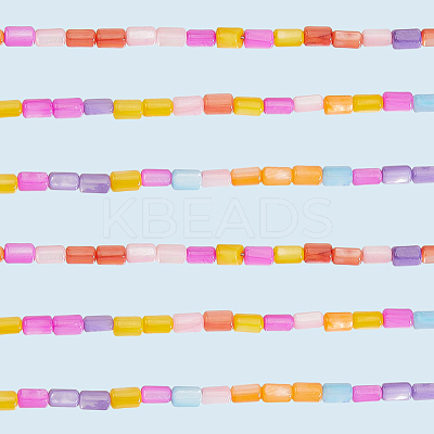 4 Strands Natural Freshwater Shell Dyed Beads Strands SHEL-SC0001-75-1