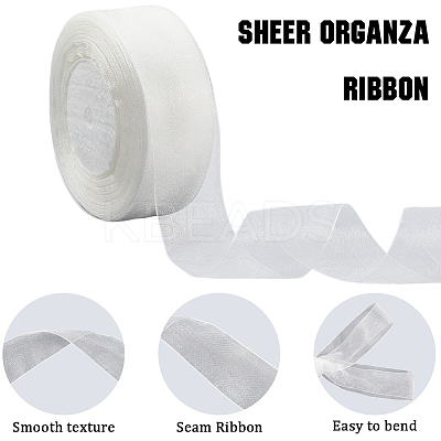 1 Rolls Sheer Organza Ribbon SRIB-CY0001-22B-03-1
