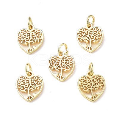 Rack Plating Brass Charms KK-F849-03G-1