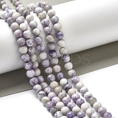 Natural Purple Turquoise Beads Strands G-L595-C04-01-1