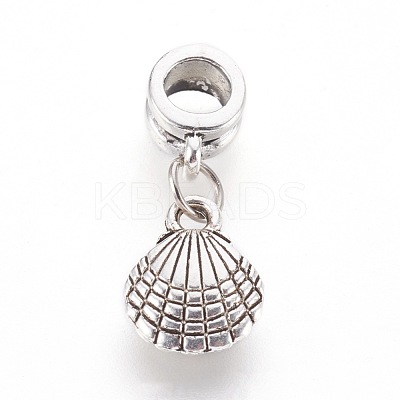 Alloy European Dangle Charms PALLOY-JF00359-01-1
