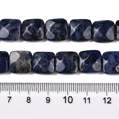 Natural Sodalite Beads Strands G-T138-169-1