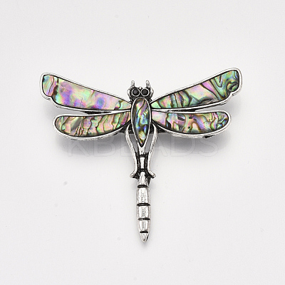 Abalone Shell/Paua Shell Brooches/Pendants SHEL-S275-39A-1