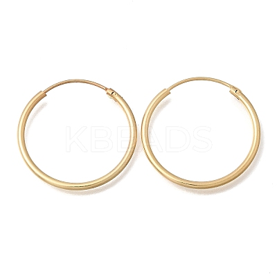 Brass Hoop Earrings EJEW-G474-01G-04-1