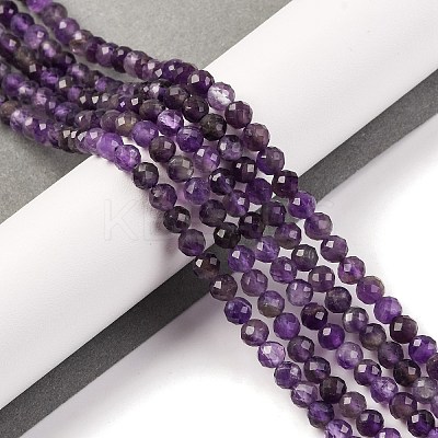 Natural Amethyst Beads Strands G-F770-C07-02AB-1