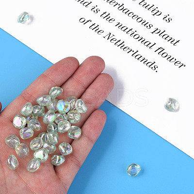 Transparent Acrylic Beads LS-MACR-S373-131-C10-1