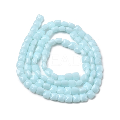 Opaque Glass Beads Strands GLAA-L050-C14-1