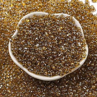 Glass Seed Beads SEED-K009-10B-02-1