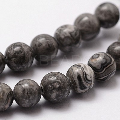 Natural Map Stone/Picasso Stone/Picasso Jasper Bead Strands X-G-D840-60-8mm-1