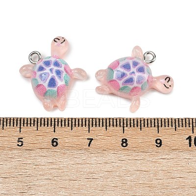 Transparent Resin Pendants RESI-F058-01A-1