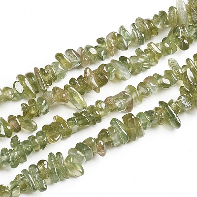 Natural Green Apatite Chips Beads Strands X-G-D0002-A13-1