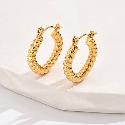 304 Stainless Steel Hoop Earrings YY3113-2-1