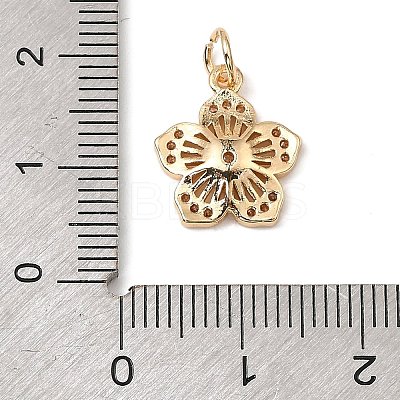 Brass Micro Pave Cubic Zirconia Charms KK-C133-03F-G-1