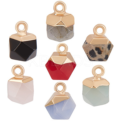 14 Pcs 7 Styles Electroplate Mixed Gemstone Charms G-BBC0001-08-1