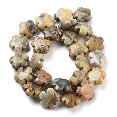 Natural Crazy Agate Beads Strands G-F769-M01-01-1