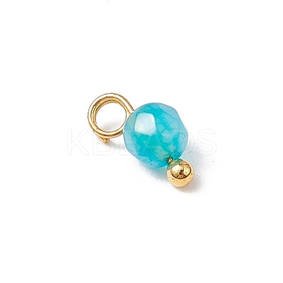 Natural Agate(Dyed & Heated) Faceted Round Charms PALLOY-JF04286-01-1