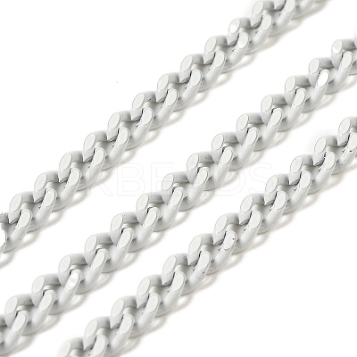 Spray Painted 304 Stainless Steel Curb Chains STAS-B067-05B-09-1