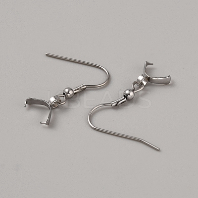 304 Stainless Steel Earring Hooks STAS-WH0027-70P-1