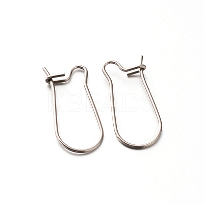 Tarnish Resistant 304 Stainless Steel Hoop Earrings Findings Kidney Ear Wires LS-STAS-E088-20-1