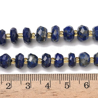 Natural Lapis Lazuli Beads Strands G-L642-J08-02-1